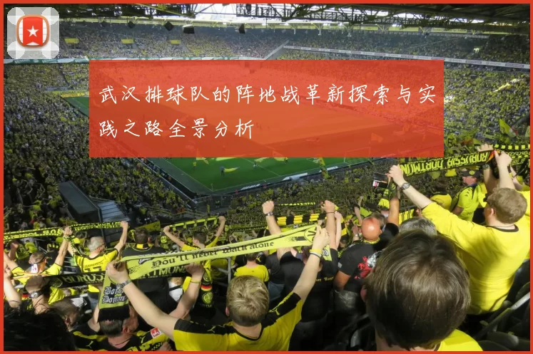 武汉排球队的阵地战革新探索与实践之路全景分析