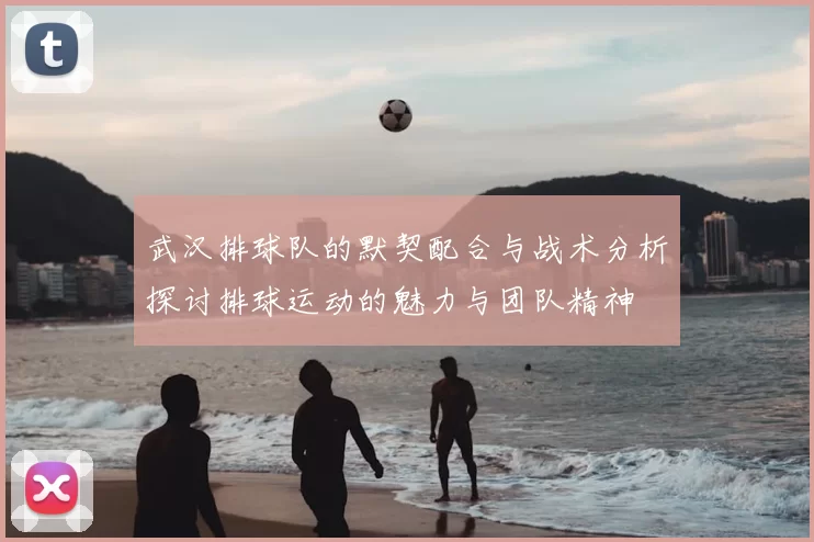 武汉排球队的默契配合与战术分析探讨排球运动的魅力与团队精神