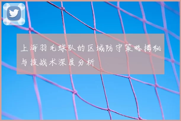 上海羽毛球队的区域防守策略揭秘与技战术深度分析