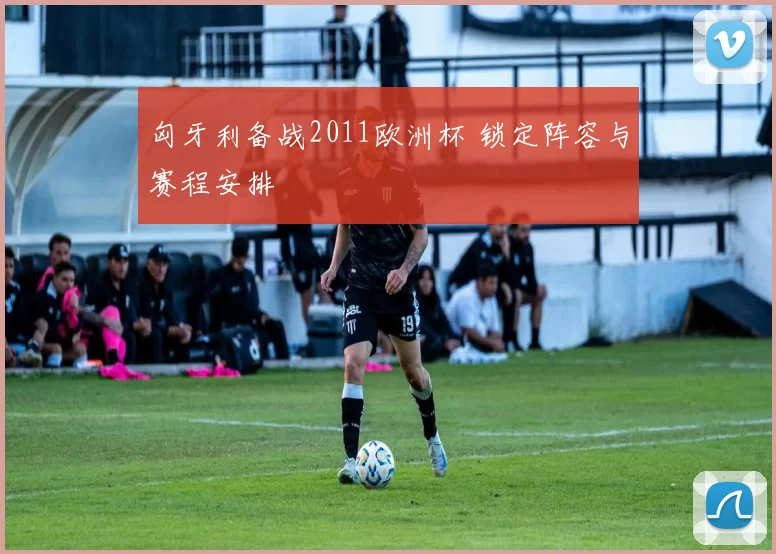 匈牙利备战2011欧洲杯 锁定阵容与赛程安排