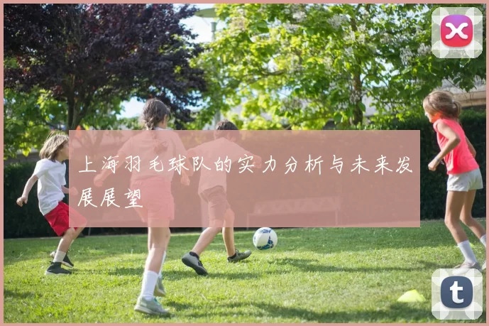 上海羽毛球队的实力分析与未来发展展望