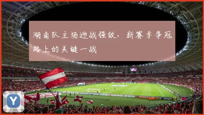 湖南队主场迎战强敌，新赛季争冠路上的关键一战