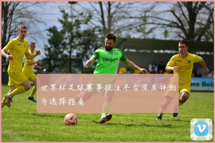 世界杯足球赛事投注平台深度评测与选择指南