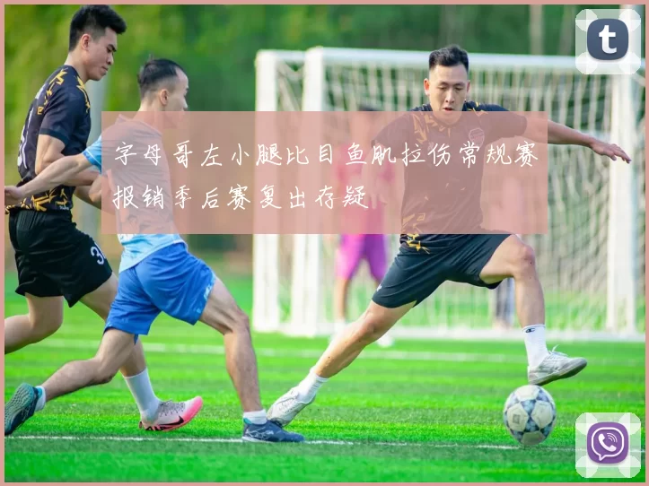 字母哥左小腿比目鱼肌拉伤常规赛报销季后赛复出存疑
