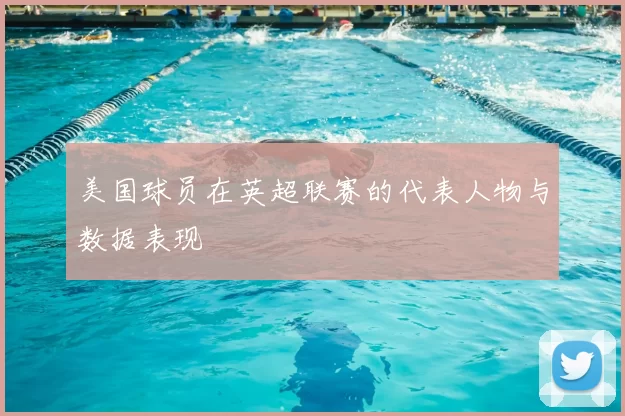 美国球员在英超联赛的代表人物与数据表现