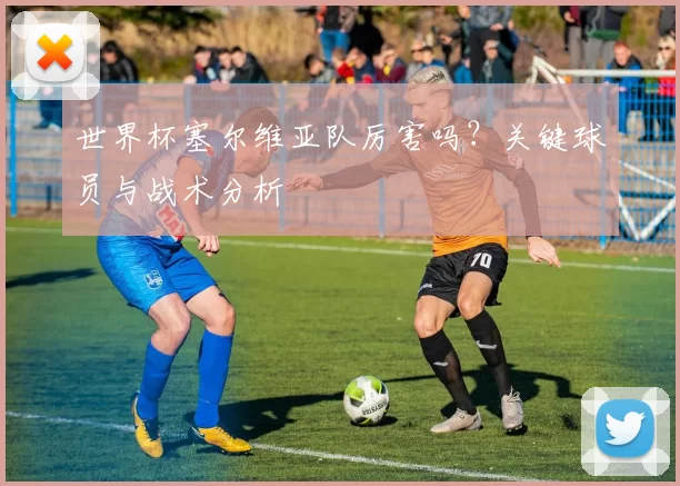 世界杯塞尔维亚队厉害吗？关键球员与战术分析