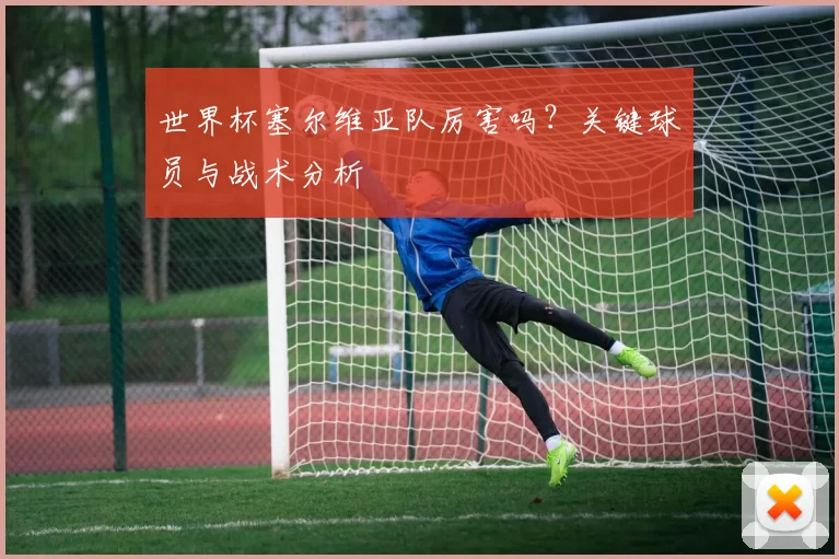 世界杯塞尔维亚队厉害吗？关键球员与战术分析