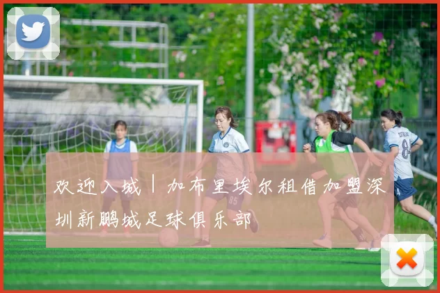 欢迎入城｜加布里埃尔租借加盟深圳新鹏城足球俱乐部