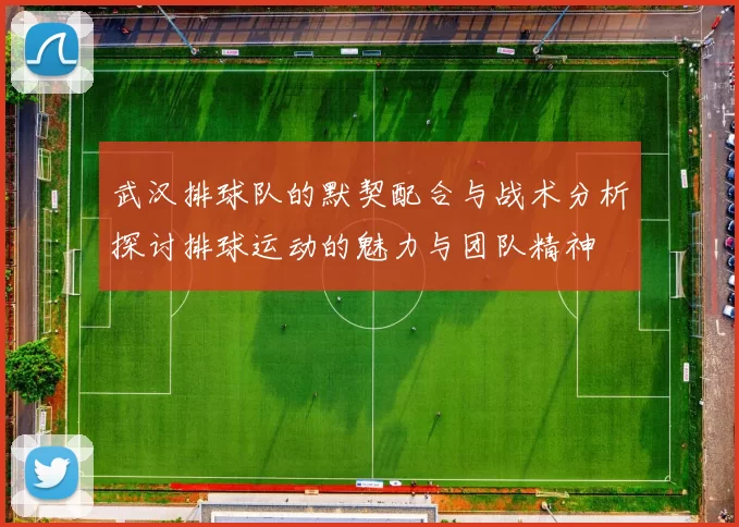 武汉排球队的默契配合与战术分析探讨排球运动的魅力与团队精神